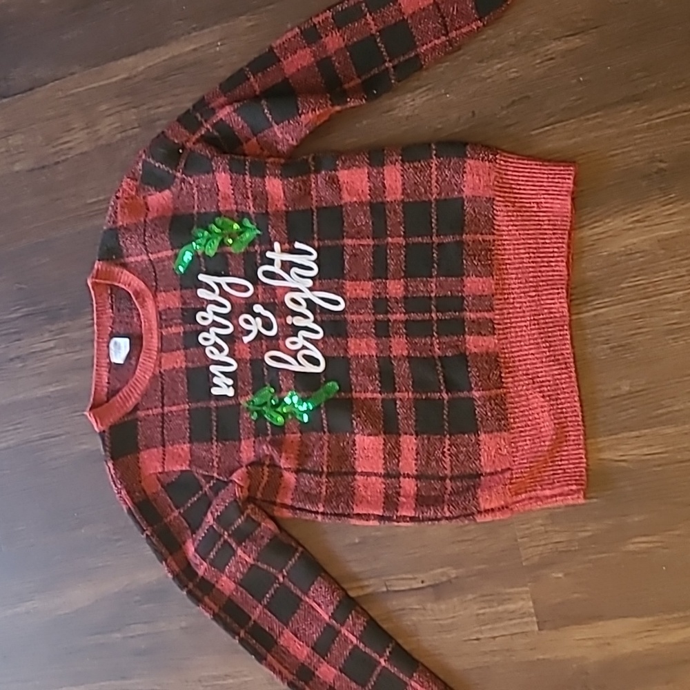 Sweatshirt from holiday time it is a  XS (0-2)